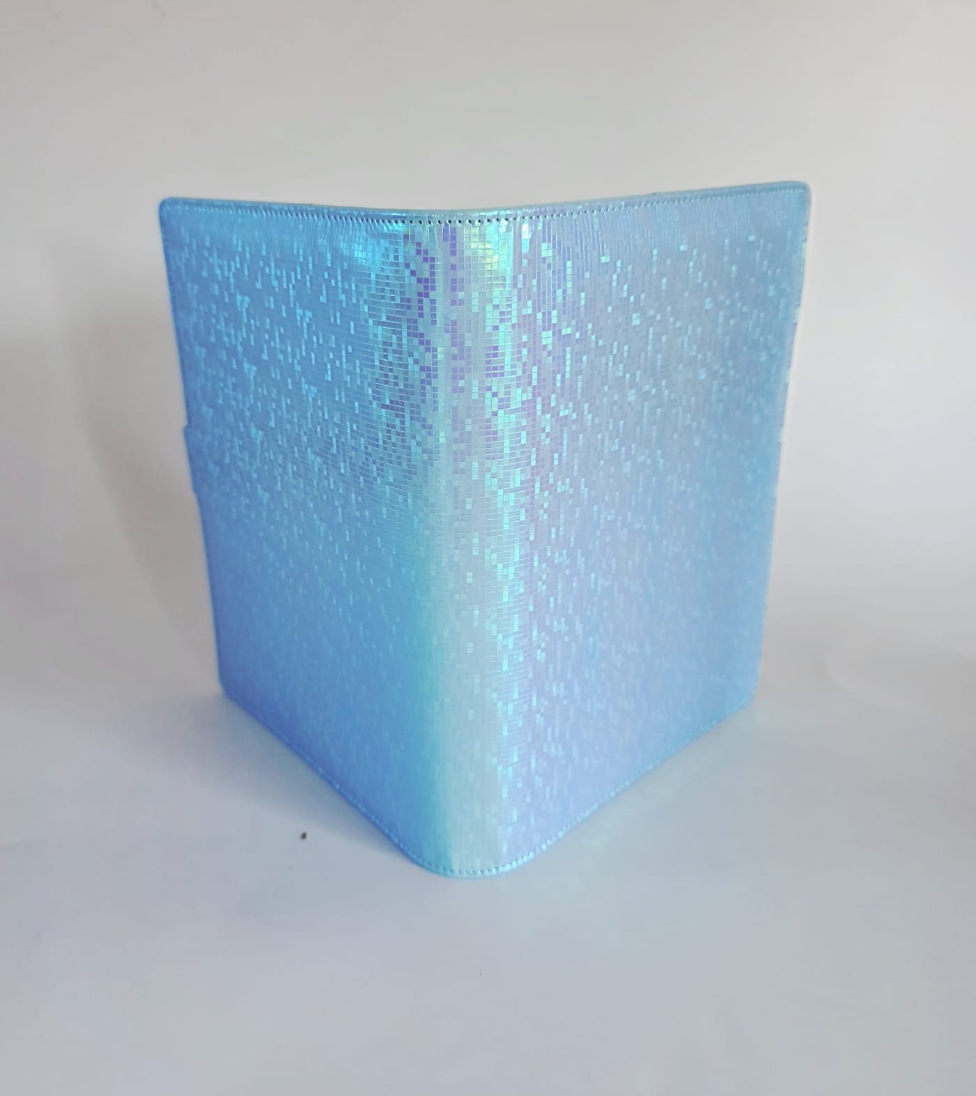 A5 PU Iridescent Budget Binder